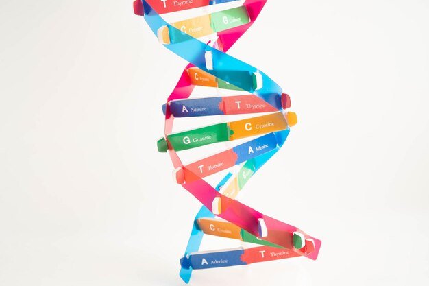 Bali DNA testing service