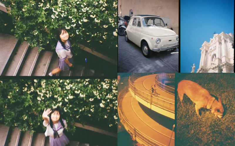 Analog travel camera
