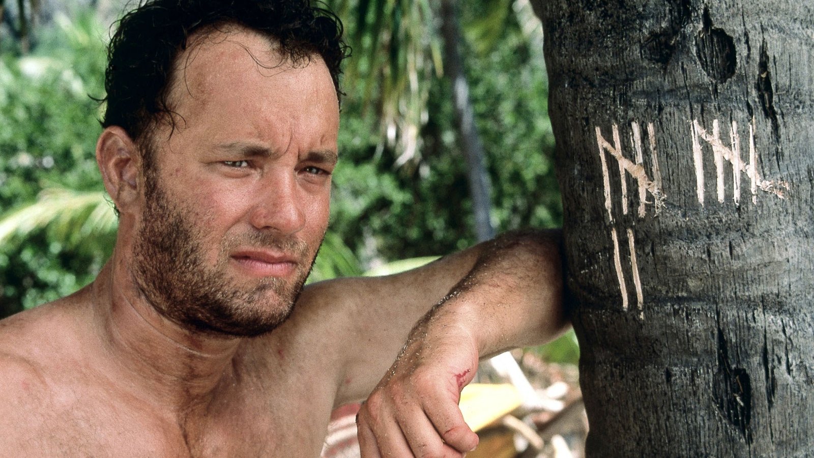Extreme Weather Survival Movies 